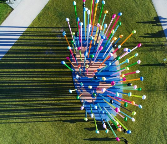 Arte per rileggere il territorio: una giornata di studi al Museo Castromediano di Lecce