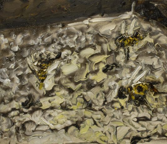 Instabilità quotidiana: arte contemporanea a Palazzo Bronzo di Genova