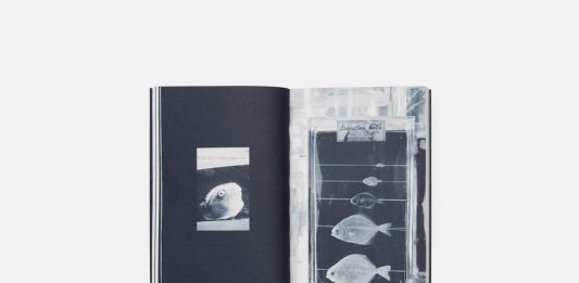 La prospettiva dell’acquario: il nuovo libro di Angela Rui e Louise E. Carver