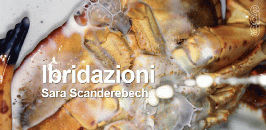 exibart digital gallery acquista online le opere in mostra