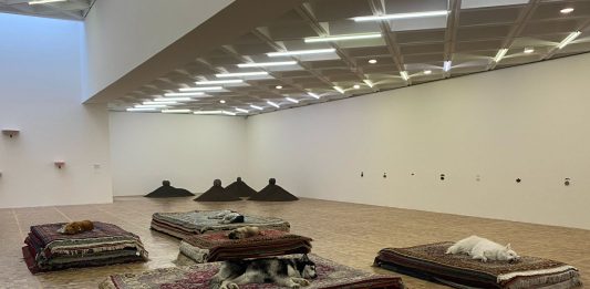 Arte o abuso? Nina Beier accusata dagli animalisti per una performance