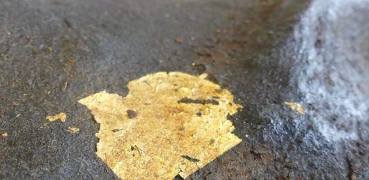 Roma attraverso Expodemic Festival: tra Piazza di Spagna e Piazza Venezia