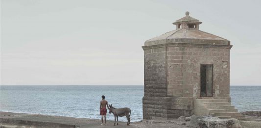 Asini dotti, 200 chilometri in cammino: l’avventura di Marcello Moscara Asini Dotti, Marcello Moscara, Santa Maria di Leuca, 29 maggio, ore 9.58