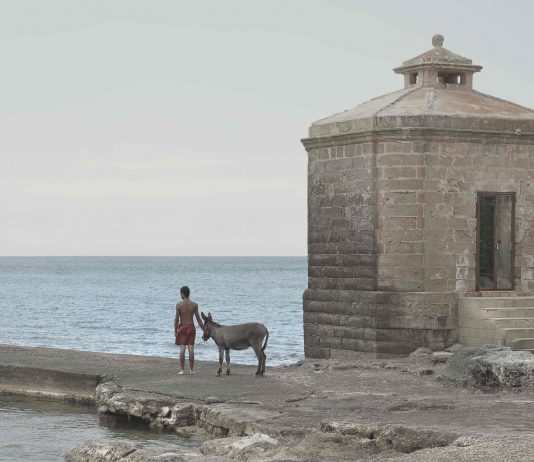 Asini dotti, 200 chilometri in cammino: l’avventura di Marcello Moscara Asini Dotti, Marcello Moscara, Santa Maria di Leuca, 29 maggio, ore 9.58