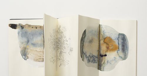 Esplorazioni visive tra marmo, fiori e stelle: l’arte ecologica di Marta Abbott