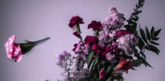 Le mostre da non perdere a giugno in tutta Italia