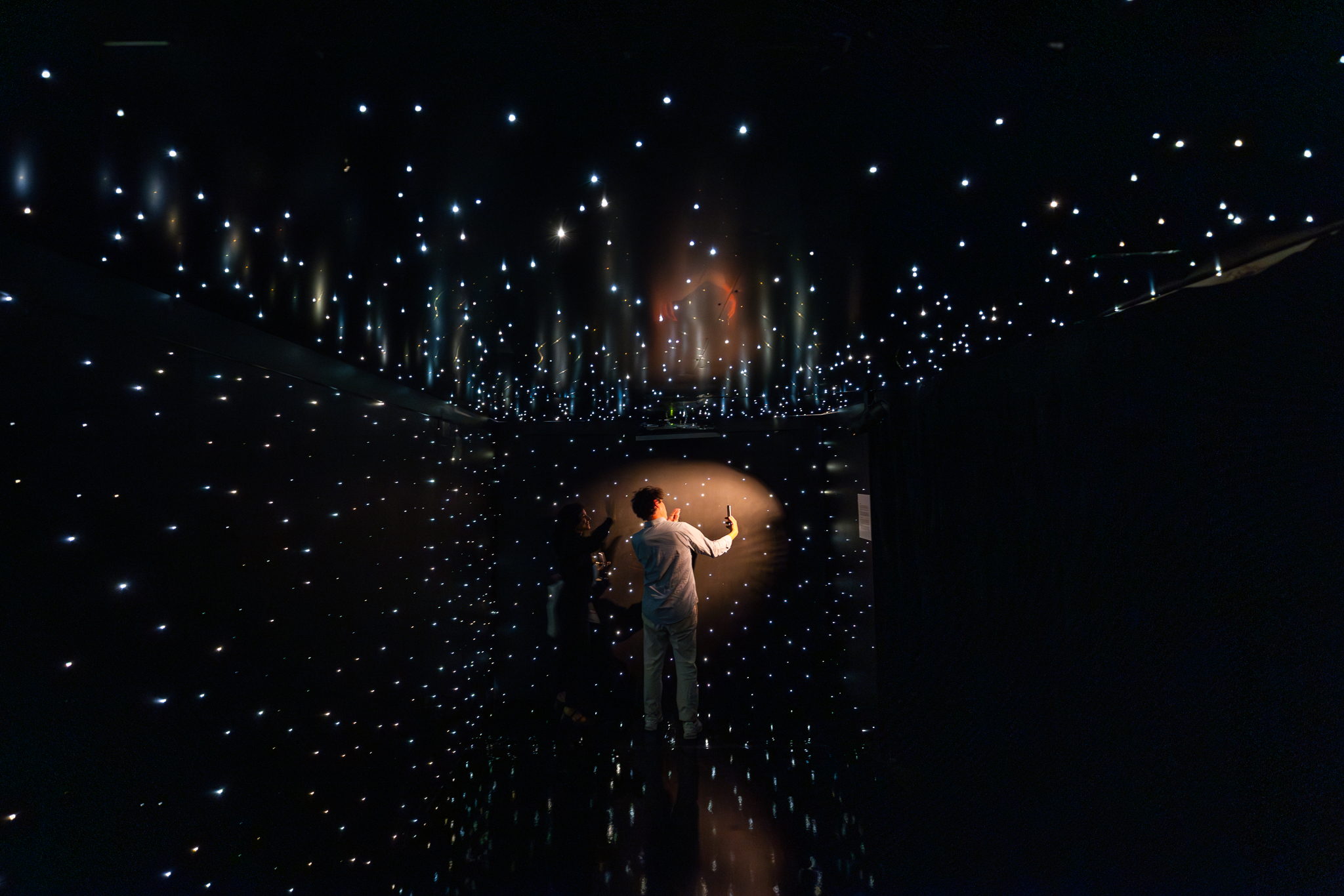 Alice Rohrwacher e Muta Imago, Bar Luna, veduta dell'installazione, Bologna, 2024. Foto Lorenzo Burlando