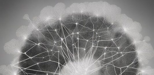 Al via la 22ª edizione del Festival Art Stays, inaugurazione giovedì 4 luglio alle ore 18.00