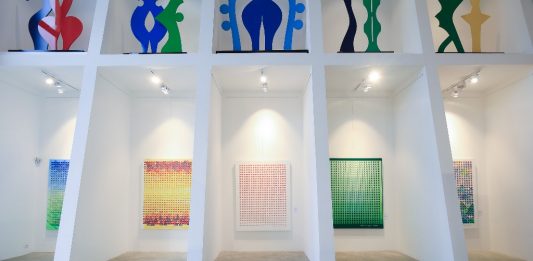 René Mayer MUTAZIONI FURTIVE fino al 18 agosto 2024, SAB Spazio Arte Bubbio, Bubbio (Asti)