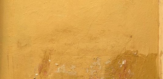 «Questo muro è di tutti». La street art femminista e le Cassandre di Emanuela Auricchio