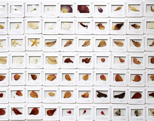 Il Premio Arte Acqua dell’Elba torna per l’ottava edizione