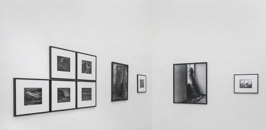 Pastorale è la seconda mostra personale di Ingar Krauss a Torino