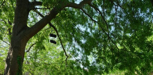 Diversità sonora e cura dell’ascolto: due appuntamenti al Padiglione Italia