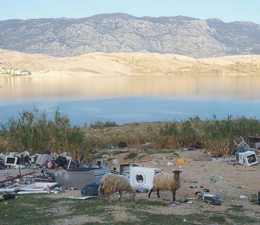 Riapre la stagione dell’arte contemporanea di Castel Belasi in Val di Non. Protagonista è la crisi climatica