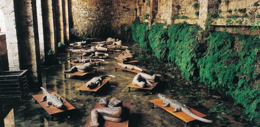 Associazione Arte Continua e Stefano Mancuso inaugurano il Bosco delle Neofite a Prato