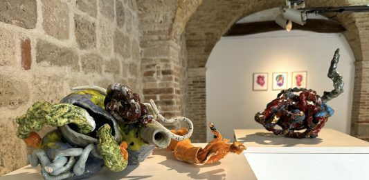 Sabino de Nichilo, forme di coesistenza: la mostra al Museo Frida di Ascoli Piceno Sabino de Nichilo, Virus, veduta della mostra ad Ascoli Piceno per il Premio Sparti, 2024