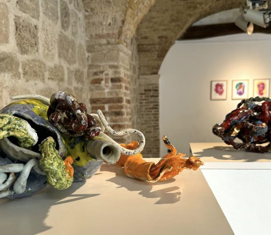 Sabino de Nichilo, forme di coesistenza: la mostra al Museo Frida di Ascoli Piceno Sabino de Nichilo, Virus, veduta della mostra ad Ascoli Piceno per il Premio Sparti, 2024