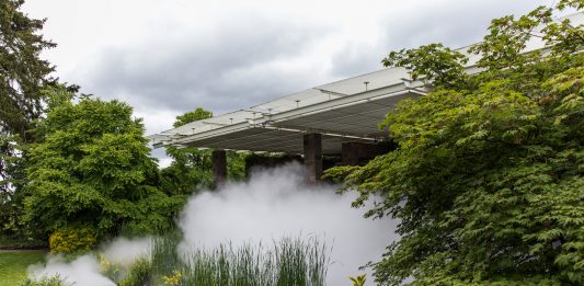 Art Basel: 5 mostre da non perdere nei giorni della super fiera