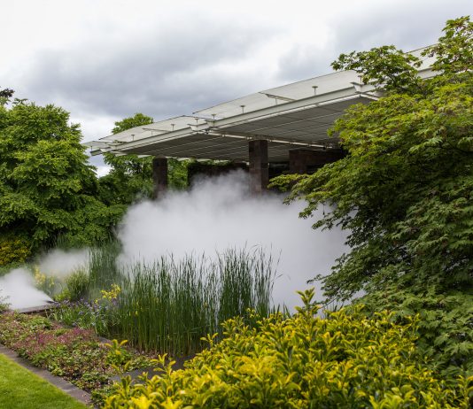 Art Basel: 5 mostre da non perdere nei giorni della super fiera