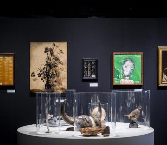 Roma attraverso Expodemic Festival: tra Villa Borghese e via del Corso