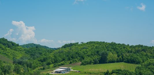WineWise, la open call di Art Days che porta l’arte tra i vigneti della Campania Veduta aerea di Agricola Bellaria. Courtesy Agricola Bellaria