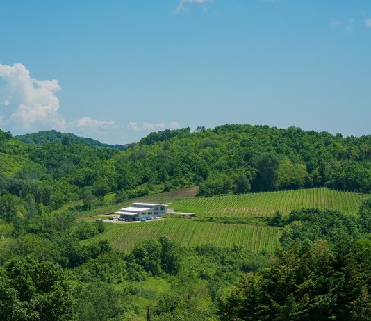 WineWise, la open call di Art Days che porta l’arte tra i vigneti della Campania Veduta aerea di Agricola Bellaria. Courtesy Agricola Bellaria
