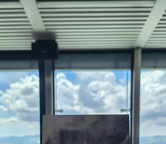 Bologna, dieci artiste in mostra da CUBO, tra natura e avanguardia 1. Sergia Avveduti, Ciglio di sole, 2020, stampa su zinco e gesso ceramico, 20 x 32 x 32 cm