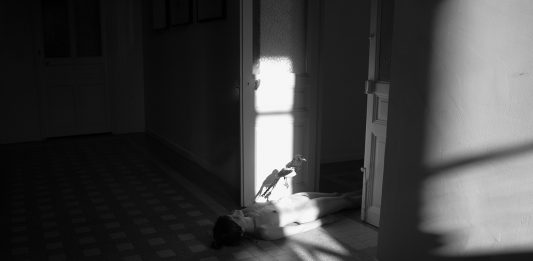 Other Identity #120, altre forme di identità culturali e pubbliche: Catia Simões