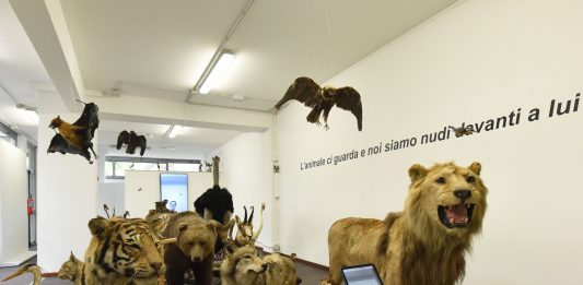 Da Brescia al Lago di Garda: un territorio da scoprire attraverso un percorso di arte contemporanea