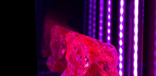 La dialettica della psiche: una conversazione con Christian Fogarolli