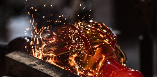 Una biodiversità in vetro: scoprendo il lavoro di Michela Cattai