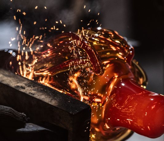 Una biodiversità in vetro: scoprendo il lavoro di Michela Cattai