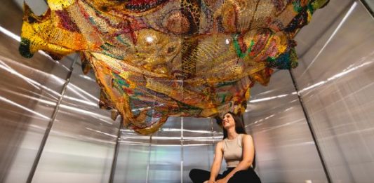 The Mountain Touch Un viaggio nella natura che cura Fino al 17 novembre 2024 al MUSE – Museo delle Scienze, Trento