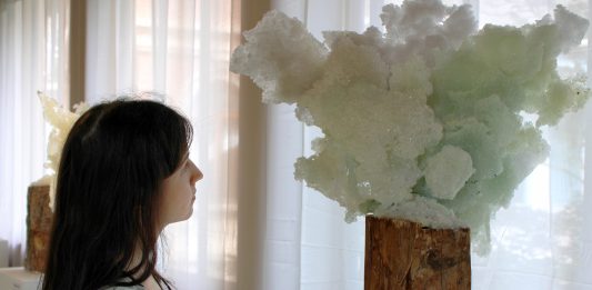 Massimo Sacchetti, le forme della natura in mostra da Flashback Habitat di Torino Massimo Sacchetti, Galaverna, veduta della mostra, Flashback Habitat, Torino, 2024