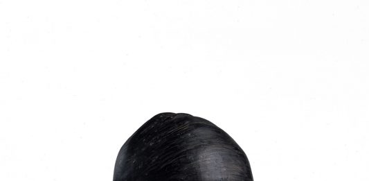 Giuseppe Bergomi. Sculture 1982 / 2024 dal 12 luglio all’1 dicembre 2024 la mostra diffusa a Brescia tra il Museo di Santa Giulia e il Castello