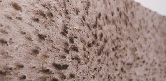 Fabio Mariani, omaggio ALCHEMICO in mostra nell’isola di San Servolo