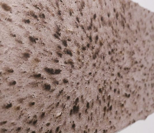 Fabio Mariani, omaggio ALCHEMICO in mostra nell’isola di San Servolo