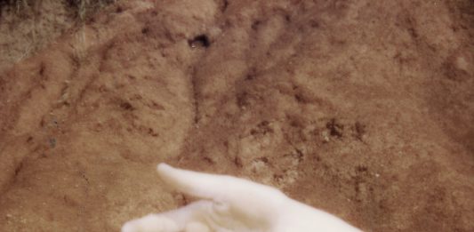 Other Identity #122, altre forme di identità culturali e pubbliche: Cristina De Paola