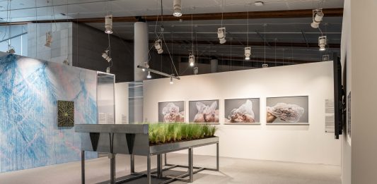 La “natura che cura”, al MUSE tra scienza e arte