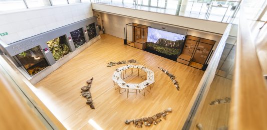 Minerali, vegetali e animali. I legami indissolubili indagati nel Convivium del MUSE
