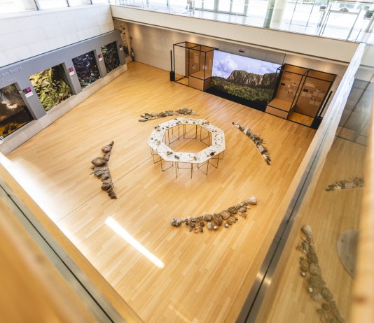 Minerali, vegetali e animali. I legami indissolubili indagati nel Convivium del MUSE