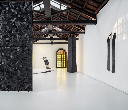 Auspici in fiamme a Cheongdo: Lee Bae alla Fondazione Wilmotte