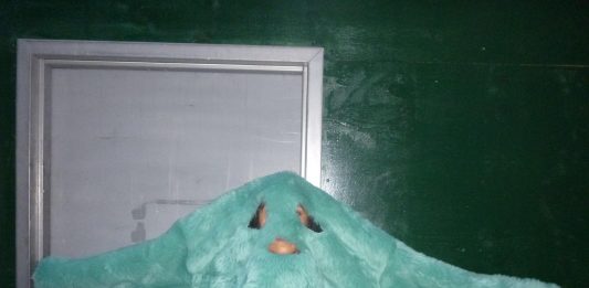 Viaggi straordinari. Zoè Gruni a New York