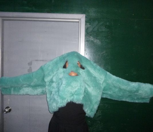 Viaggi straordinari. Zoè Gruni a New York