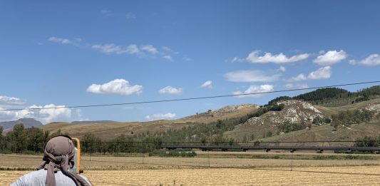 In Italia c’è un nuovo boom di richiesta tra gli archeologi?