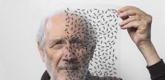 Sarà Emilio Isgrò a firmare la Notte della Taranta 2024