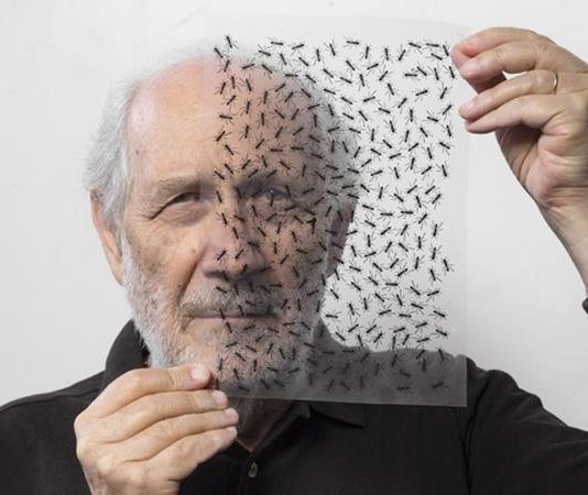 Sarà Emilio Isgrò a firmare la Notte della Taranta 2024