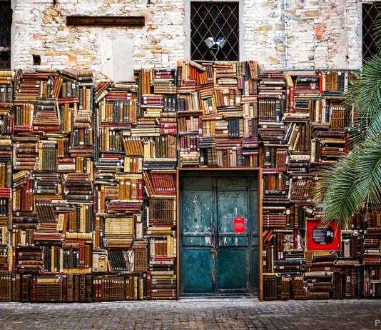 Come sta andando l’arte a Pesaro Capitale Italiana della Cultura 2024? Risponde il Direttore artistico di Pesaro Musei