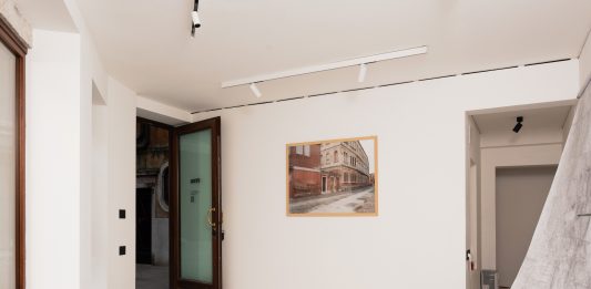 L’intruso inventato cioè l’asfalto veneziano: l’inaspettata riflessione in mostra a Venezia