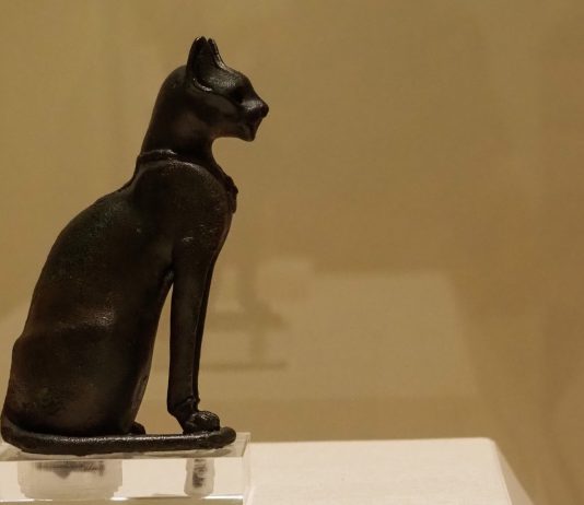 Il Museo Egizio di Torino esce dalle sue mura e porta i suoi reperti a Forte dei Marmi museo egizio forte marmi